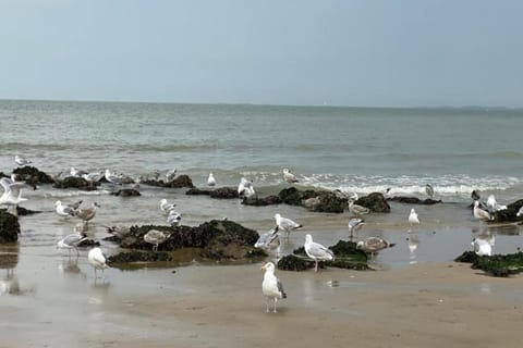 Immediate Surroundings [summer] (&lt;1 km)