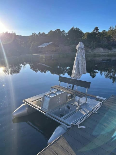 The paddle boat at the pond