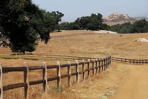 Ramone Grassland Preserve