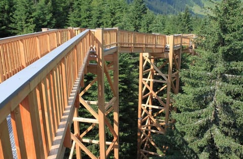 Surroundings [summer] (1-5 km)