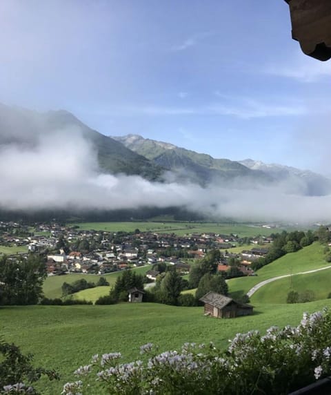 View from Holiday Home [summer]