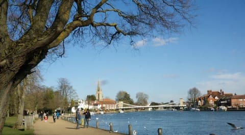 Walking in Higginson Park