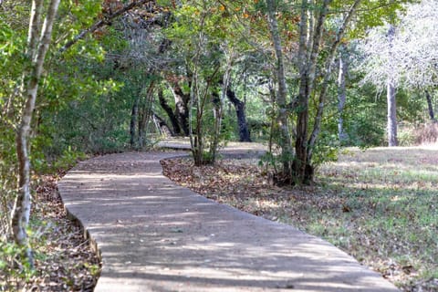 Enchanting pathway inviting a peaceful walk in nature.