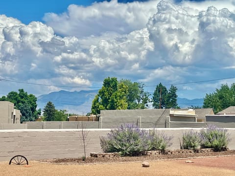 Sandia Mountain View from Backyard. Sky is filled w/ Balloons during Fiesta!