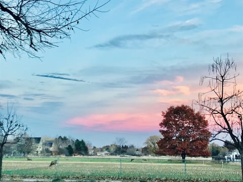 Front View Long’s Iris Garden