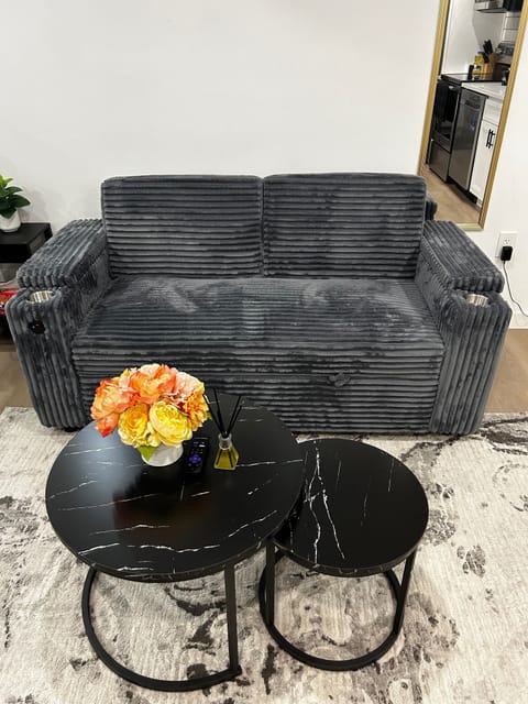 Comfy couch with charger. Couch can be converted to a bed.