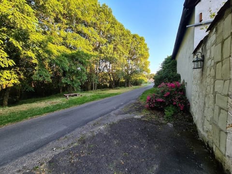 Entrance overlooking the Chinon forest