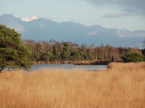 Region [summer] (>5 km)