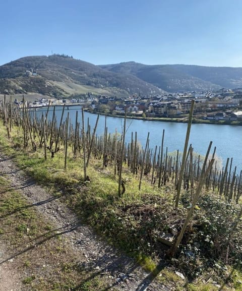 Surroundings [summer] (1-5 km)