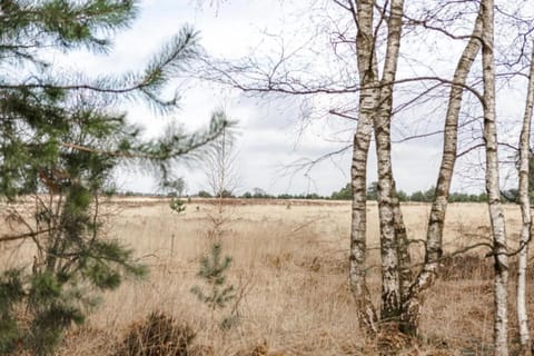 Surroundings [summer] (1-5 km)