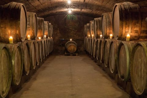 Holiday Home Facilities and Services