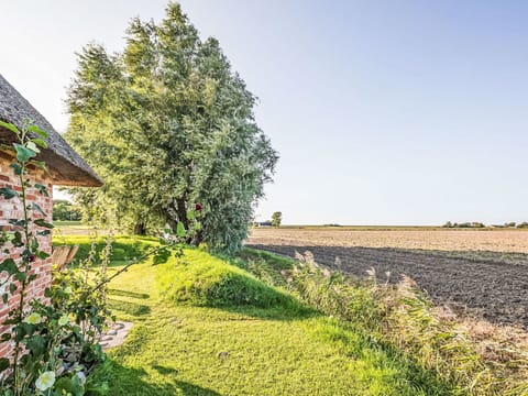 Green, Grass, Natural Landscape, Shrub, Grassland, Rural Area, Plain, Land Lot, Field