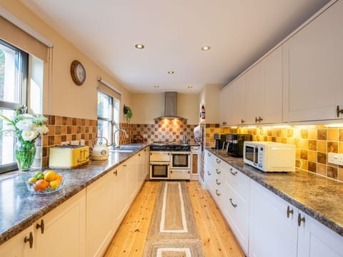 Kitchen, Interior Design, Countertop, Wood, Kitchen Appliance, Cabinetry, Flooring, Major Appliance, Ceiling, Lighting