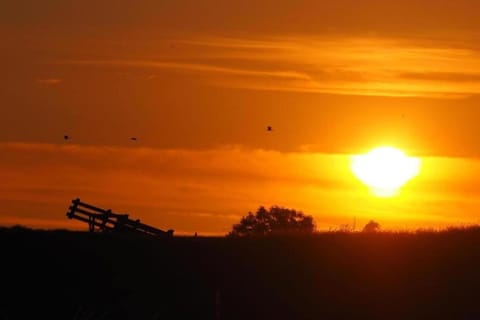 Region [summer] (>5 km)