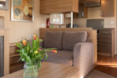 Living Room / Lounge