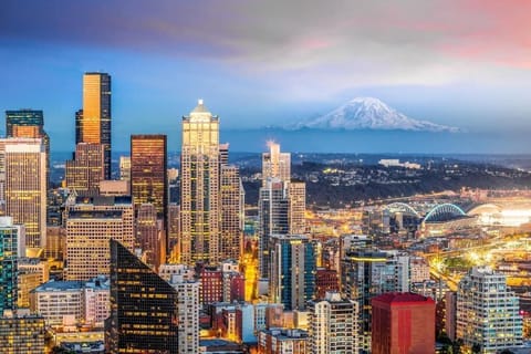 Beautiful downtown Seattle 