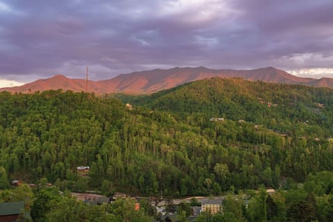 Gorgeous views of The Great Smoky Mountains!