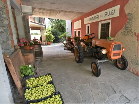 Flooring, Interior Design, Floor, Apartment, Balcony, Ceiling, Condominium, Chair, Shade, Porch