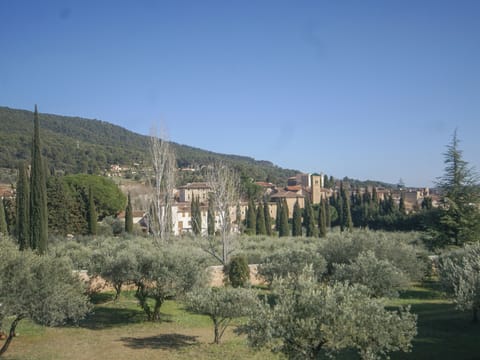 Immediate Surroundings [summer] (&lt;1 km)