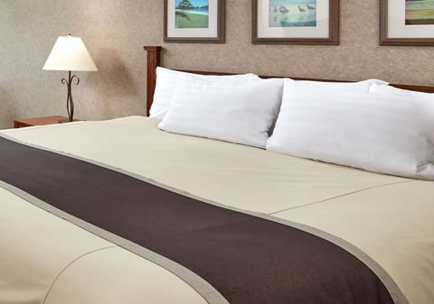 Unit with 1 King Bed