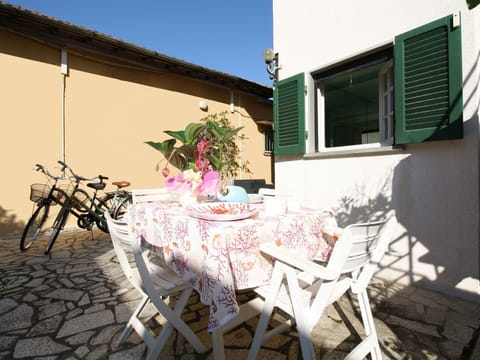 Furniture, Chair, Table, Outdoor Furniture, Tablecloth, Outdoor Table, Flowerpot, Houseplant, Kitchen & Dining Room Table, Yard