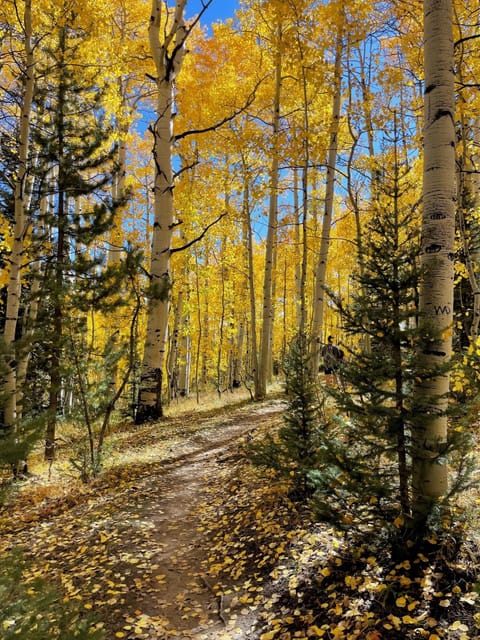 Catch the leaves changing this Fall!