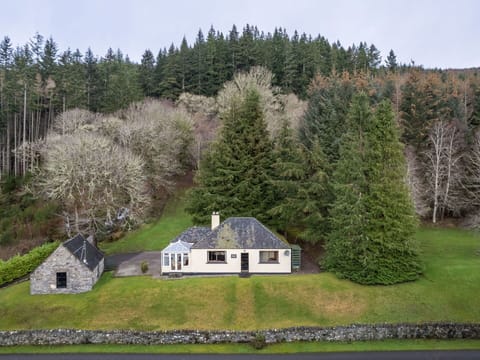 Tree, Grass, House, Cottage, Home, Shrub, Roof, Landscape, Rural Area, Farmhouse