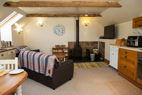 Living area with two sofas and TV