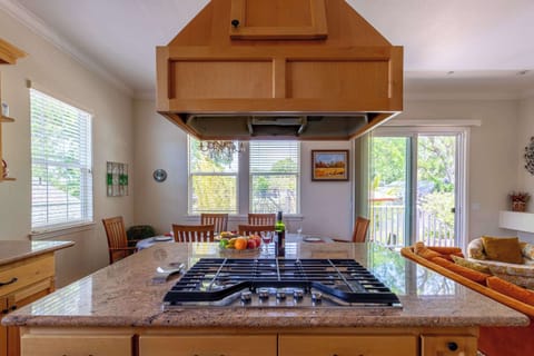 Chef-worthy stove set into beautiful stone counters