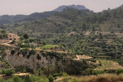 Region [summer] (&gt;5 km)