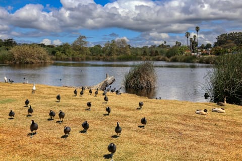 Just steps from Pacific Plaza Resort, the neighboring park offers green spaces, picnic areas, and a playground for relaxation and family fun.