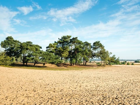 Loonse and Drunense Dunes National Park