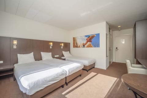 Unit with 3 Single beds. Exact unit will be assigned upon arrival. Views, colors, and decor may vary.