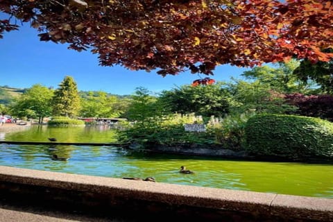 Region [summer] (>5 km)