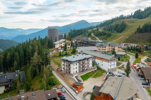 Region [summer] (&gt;5 km)