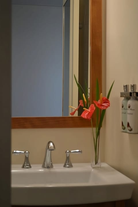 Bathroom with a shower and tub. The essential kit and towels are provided!