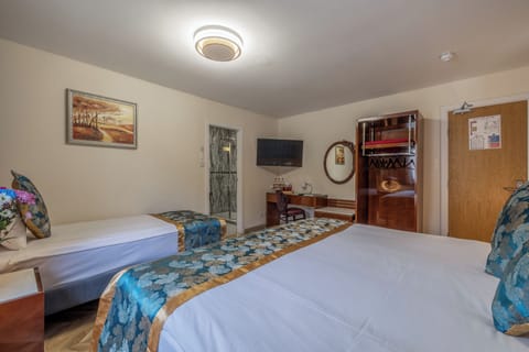 Unit with 1 King bed and single bed