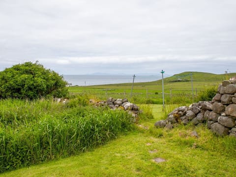 Green, Grass, Grassland, Natural Landscape, Pasture, Plain, Ecoregion, Landscape, Land Lot, Cloud