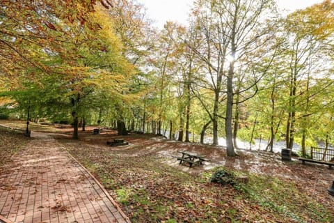 Region [summer] (>5 km)