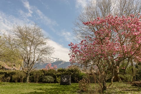 Garden (the right-hand side only is available to tenants, the swing may be used depending on the owners' occupancy)