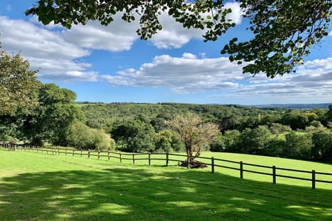 Region [summer] (&gt;5 km)