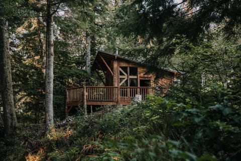 Cabin1