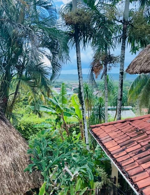 Sweeping jungle views from the villa grounds.