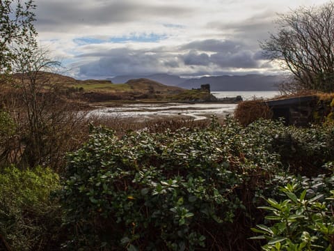 Nature, Cloud, Vegetation, Natural Landscape, Landscape, Ecoregion, Plant Community, Wilderness, Morning, Evening