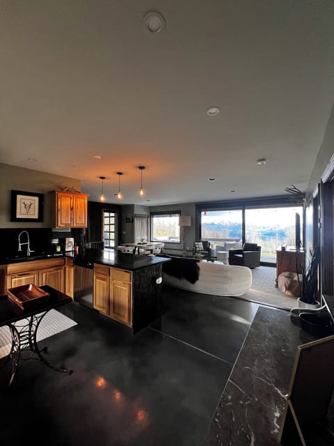 Kitchen and living area