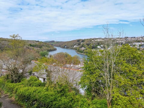 View | Denzell, Looe