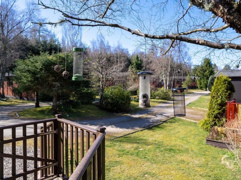 Tree, Shrub, Garden, Lawn, Landscaping, Park, Yard, Backyard, Walkway, Evergreen