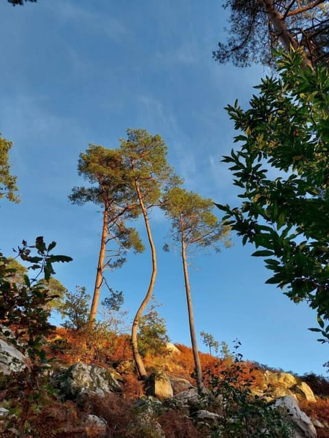 E246bad8 8a6b 4714 838c 2ed321d7979c