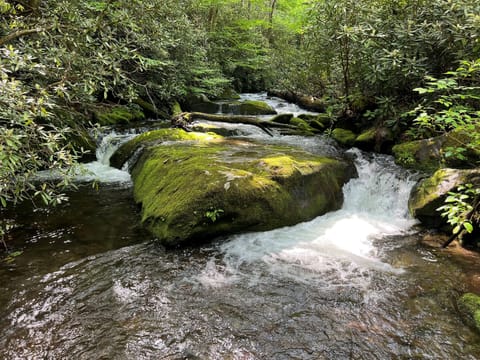 Enjoy a stroll through the National Park