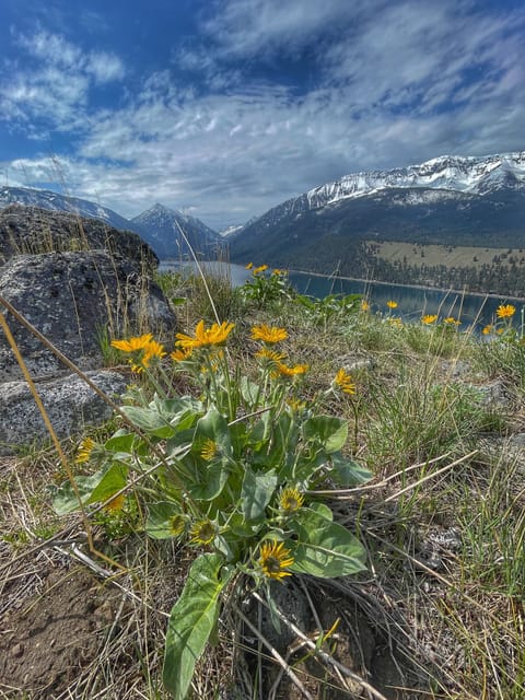 The east moraine in the spring--an easy walk from the Mc Cully Cabin.